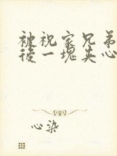 被祝家兄弟共享后一块夹心饼封面