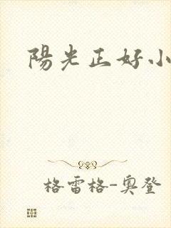 阳光正好小说