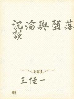 沉沦与堕落的小说封面