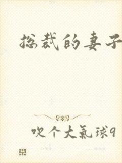 总裁的妻子