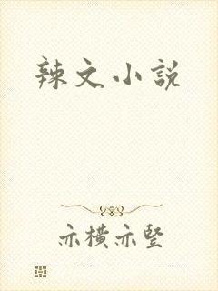 辣文小说