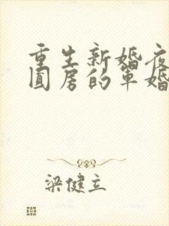 重生新婚夜正在圆房的军婚