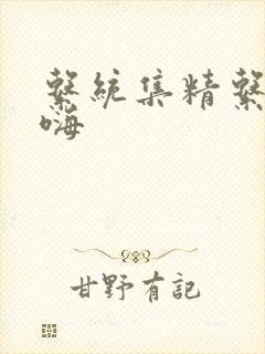 系统集精系统高嗨封面