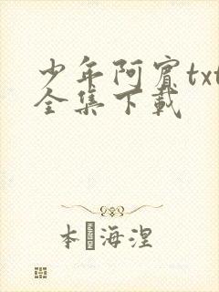 少年阿宾txt全集下载