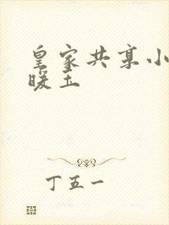 皇家共享小公主暖玉