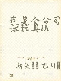 我是全公司的发泄玩具ih