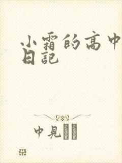 小霜的高中成长日记