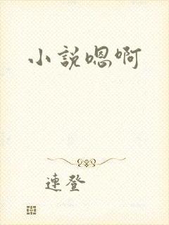 小说嗯啊