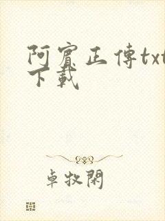 阿宾正传txt下载封面