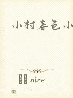 小村春色小说封面
