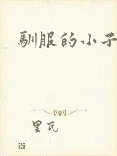 驯服的小子4