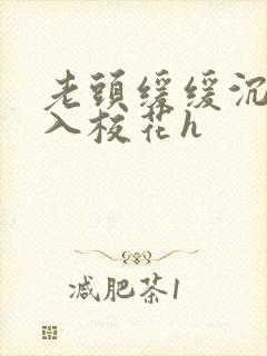 老头缓缓沉腰进入校花h封面