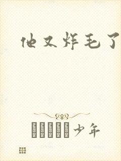 他又炸毛了封面