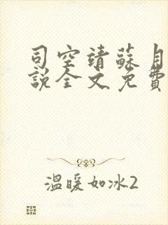 司空靖苏月汐小说全文免费阅读