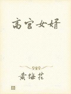 高官女婿