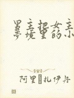 男主把女主拖进梦境里的小说