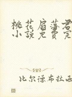桃花扇落君不还小说免费完整版