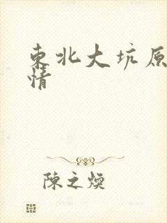 东北大坑原始激情封面