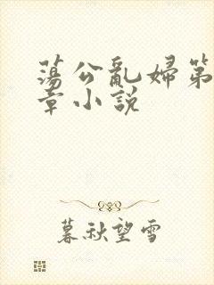 荡公乱妇第51章小说