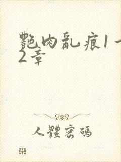 艳肉乱痕1一12章
