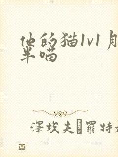 他的猫1v1月半喵封面