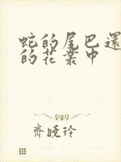 蛇的尾巴还在我的花丛中