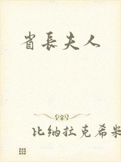 省长夫人
