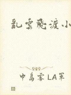 乱云飞渡小说