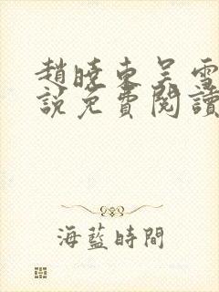 赵晓东吴雪晴小说免费阅读封面