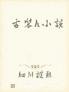 古装h小说封面
