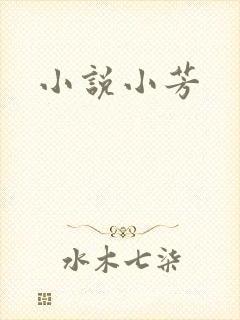 小说小芳