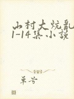 山村大炕乱肉续1-14集小说封面