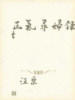 正气寻妇录txt