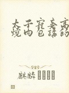 太子宠妾高肉红烧肉包讲的什么