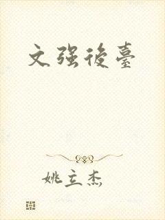 文强后台封面