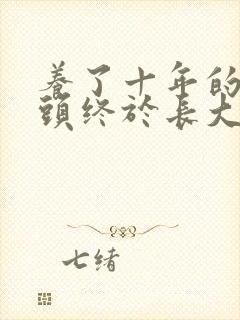 养了十年的小丫头终于长大了