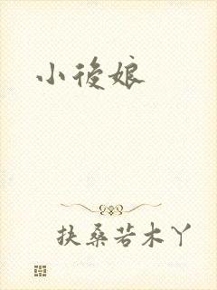 小后娘封面