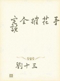 完全摧花手册小说