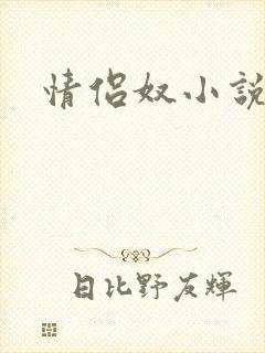情侣奴小说