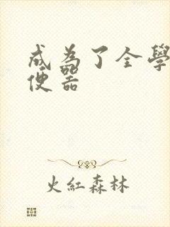 成为了全学校坐便器