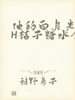 他的白月光HVH桔子糖水全文