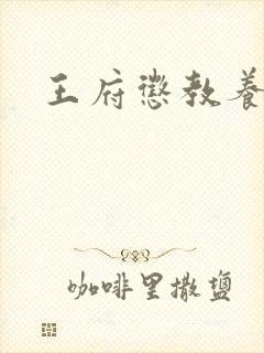 王府惩教养日常