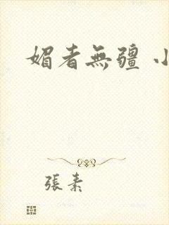 媚者无疆 小说