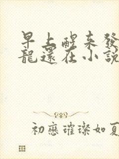 早上醒来发现巨龙还在小说
