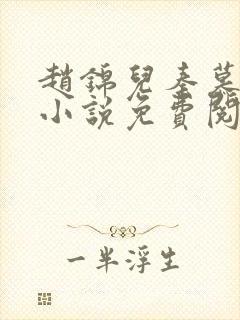 赵锦儿秦慕修的小说免费阅读全文