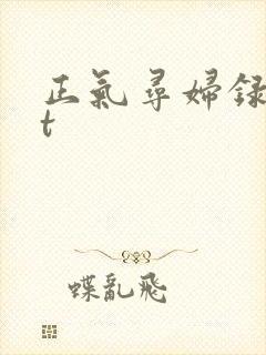 正气寻妇录txt