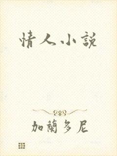 情人小说