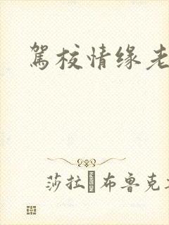 驾校情缘老赵