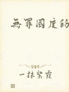 无罪国度的小说封面