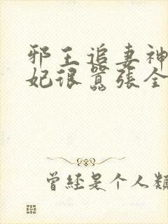 邪王追妻神医狂妃很嚣张全文免费